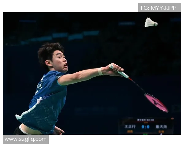 聚焦羽毛球：探索杭州羽毛球队的实力与未来发展之路